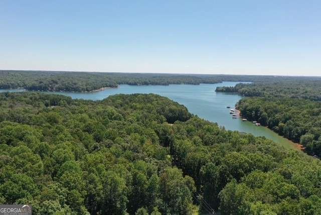 253 Trout Drive Lavonia - 35