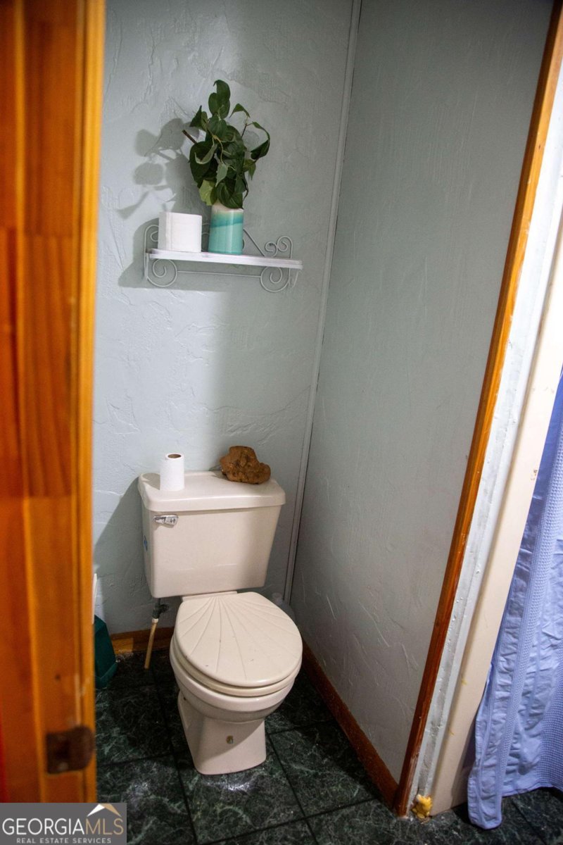 320 Bill Morris Road Baxley - 10