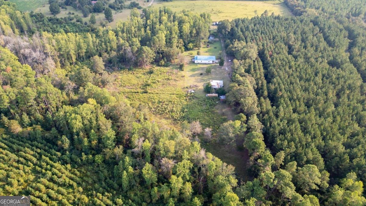 320 Bill Morris Road Baxley - 30