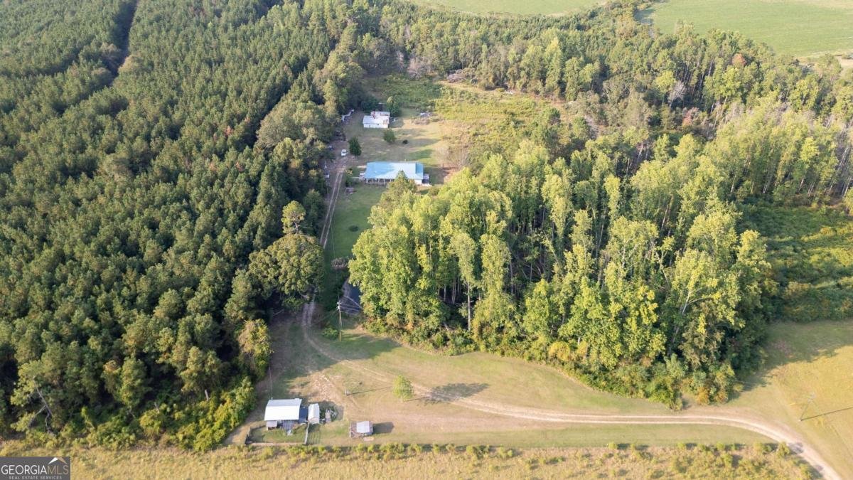 320 Bill Morris Road Baxley - 34