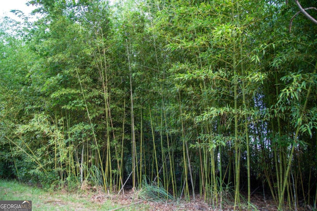 320 Bill Morris Road Baxley - 4