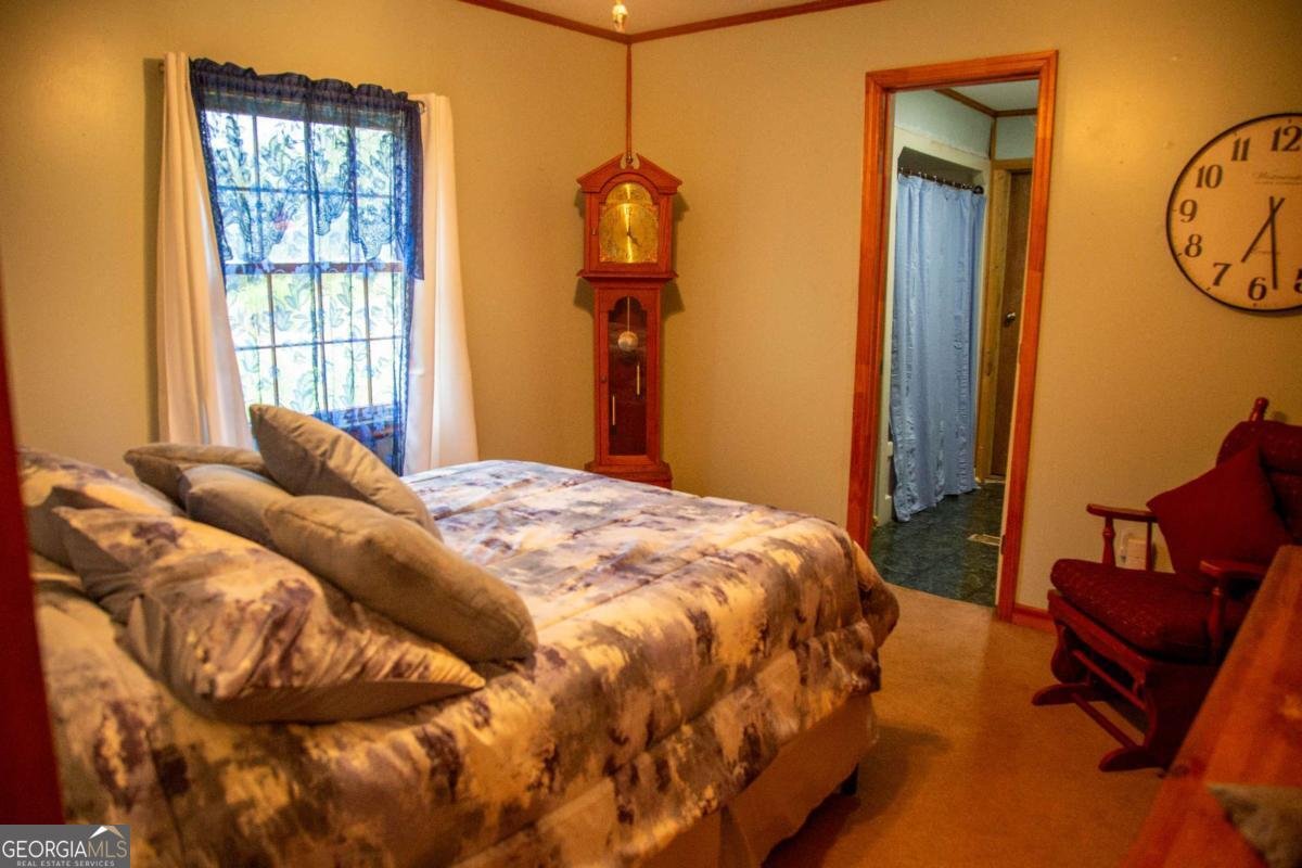 320 Bill Morris Road Baxley - 8