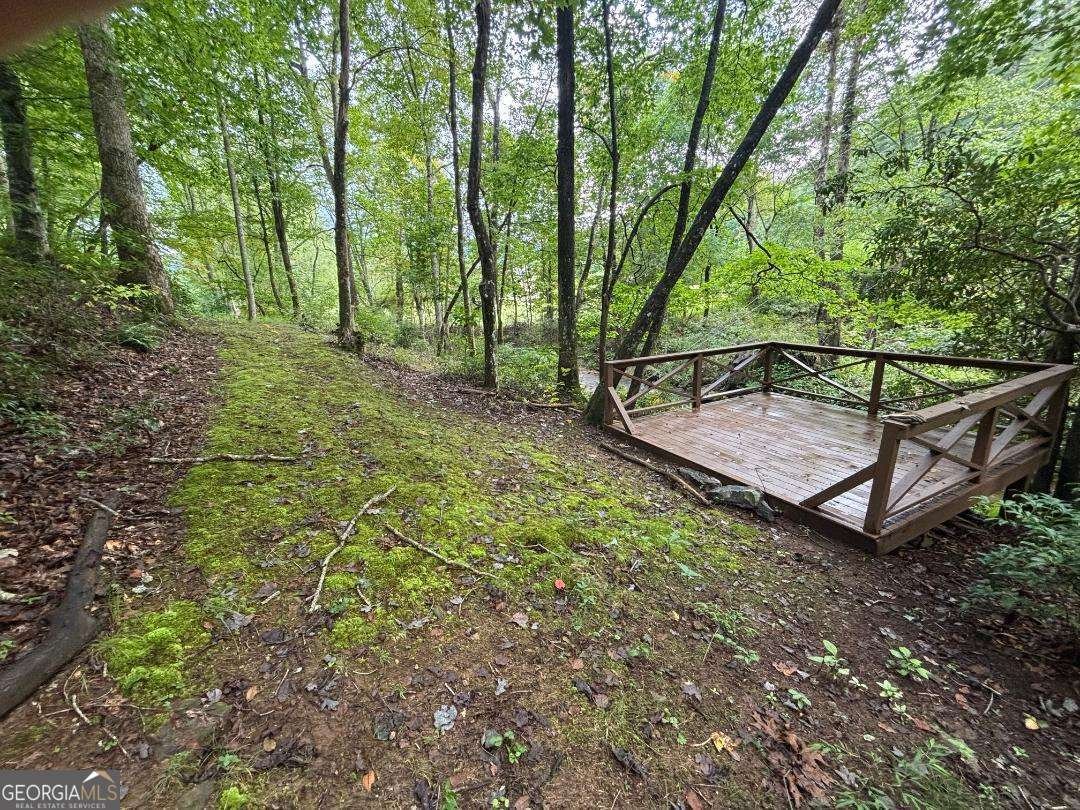 3196 Creekview Road Hiawassee - 4