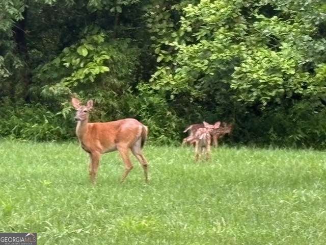 3196 Creekview Road Hiawassee - 40