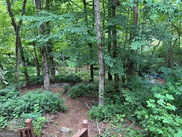 3196 Creekview Road Hiawassee - 7