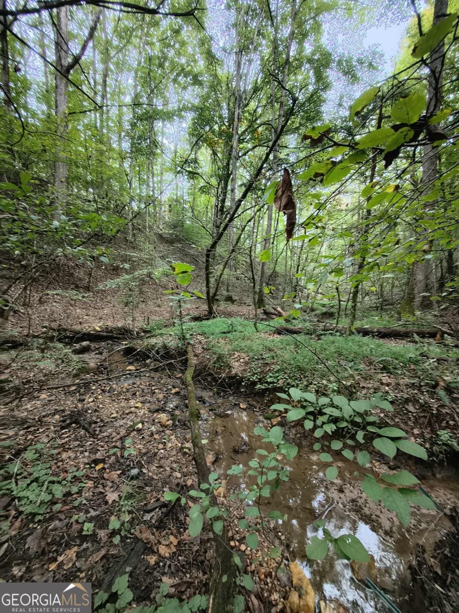 131 chestatee springs Ridges Dahlonega - 37