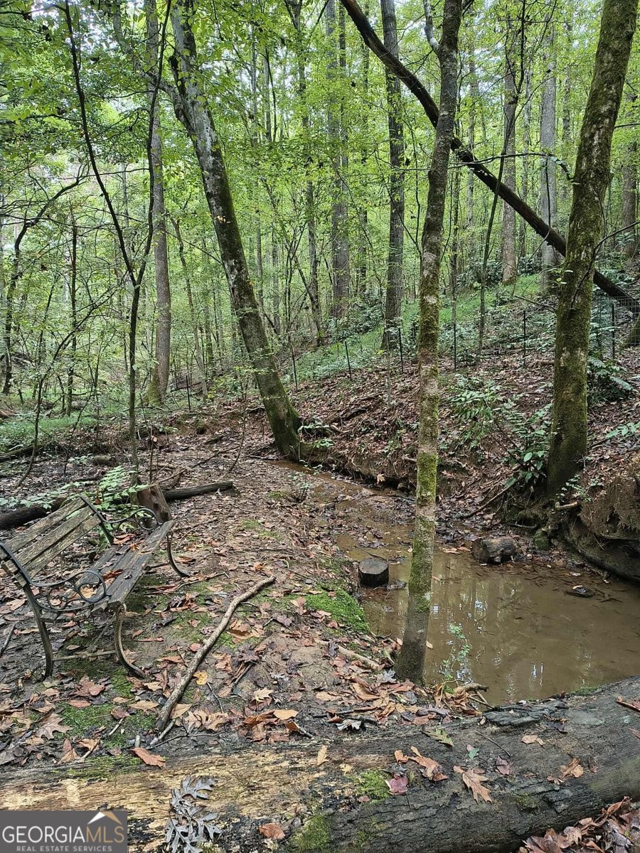 131 chestatee springs Ridges Dahlonega - 40