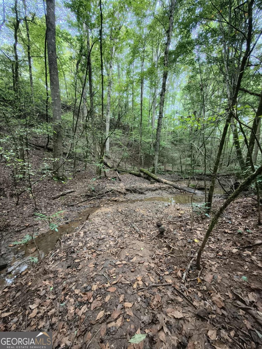 131 chestatee springs Ridges Dahlonega - 41