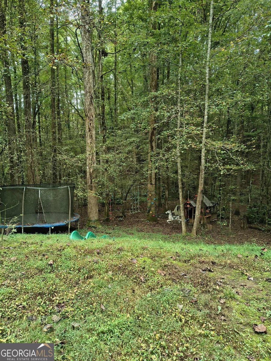 131 chestatee springs Ridges Dahlonega - 42