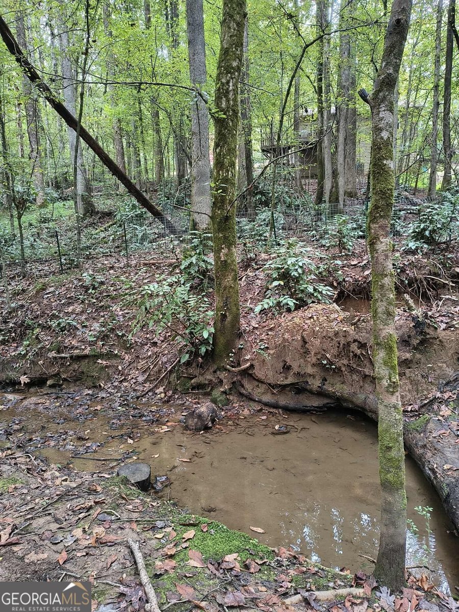 131 chestatee springs Ridges Dahlonega - 43