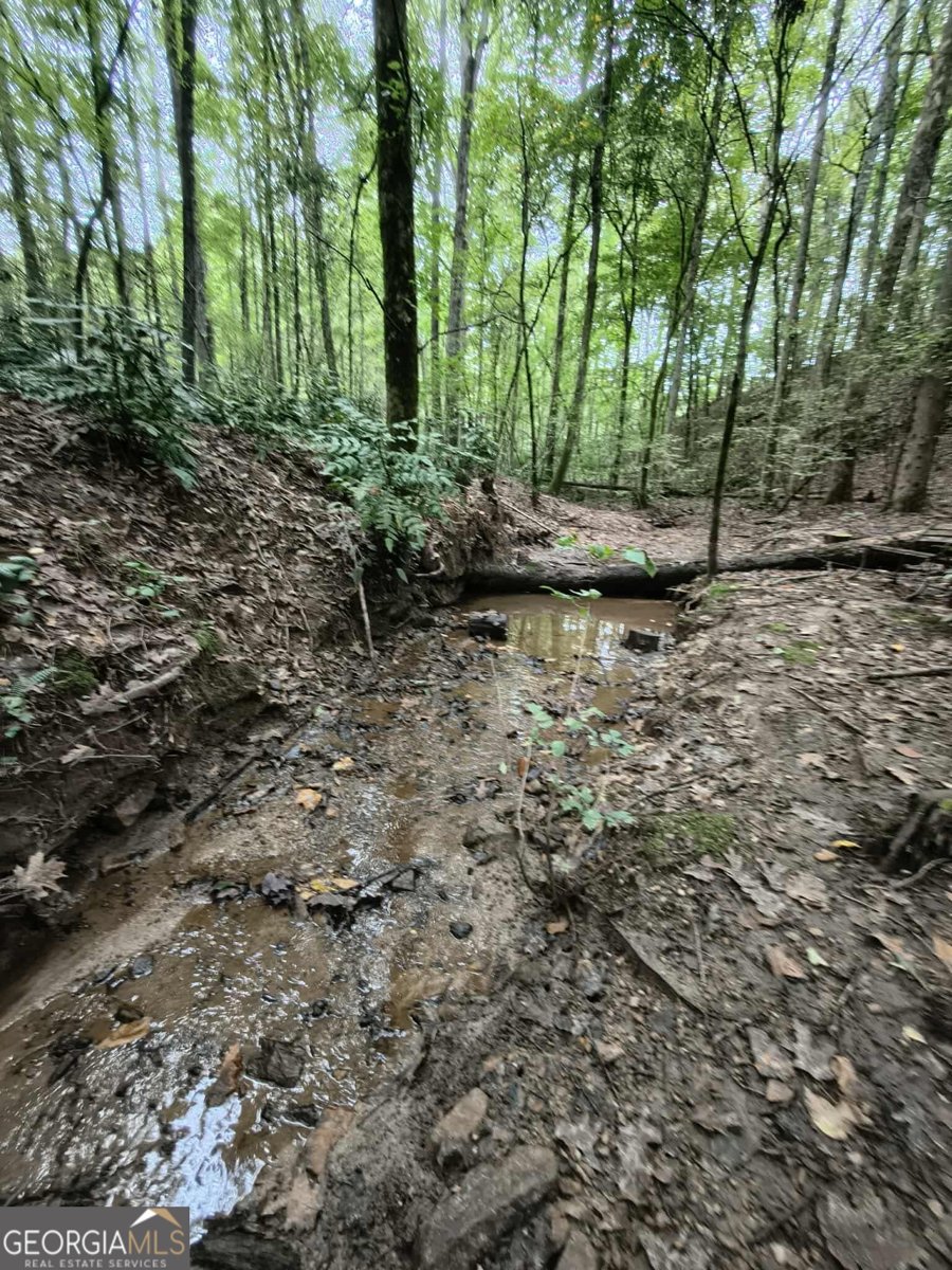 131 chestatee springs Ridges Dahlonega - 46