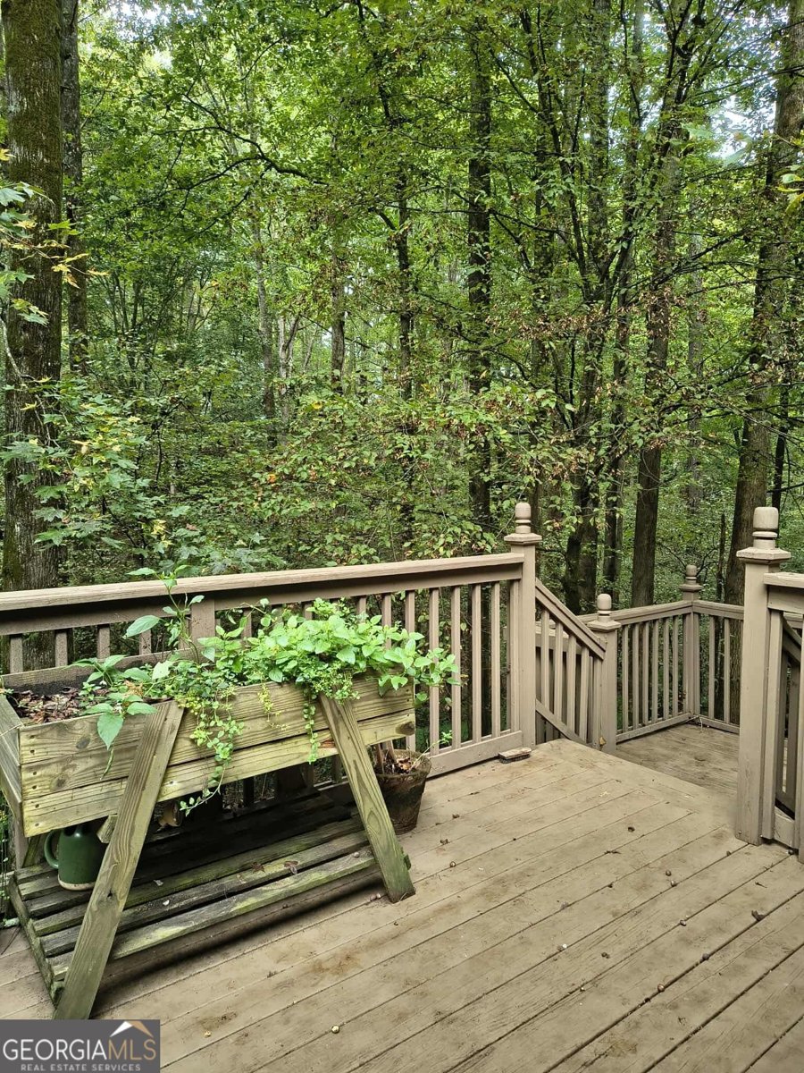 131 chestatee springs Ridges Dahlonega - 51