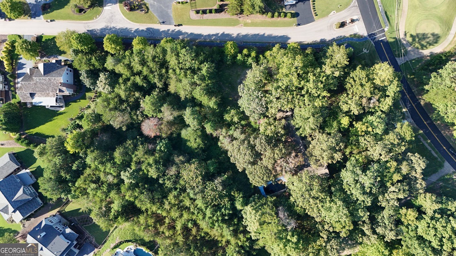 153 Dogwood Way Dawsonville - 10