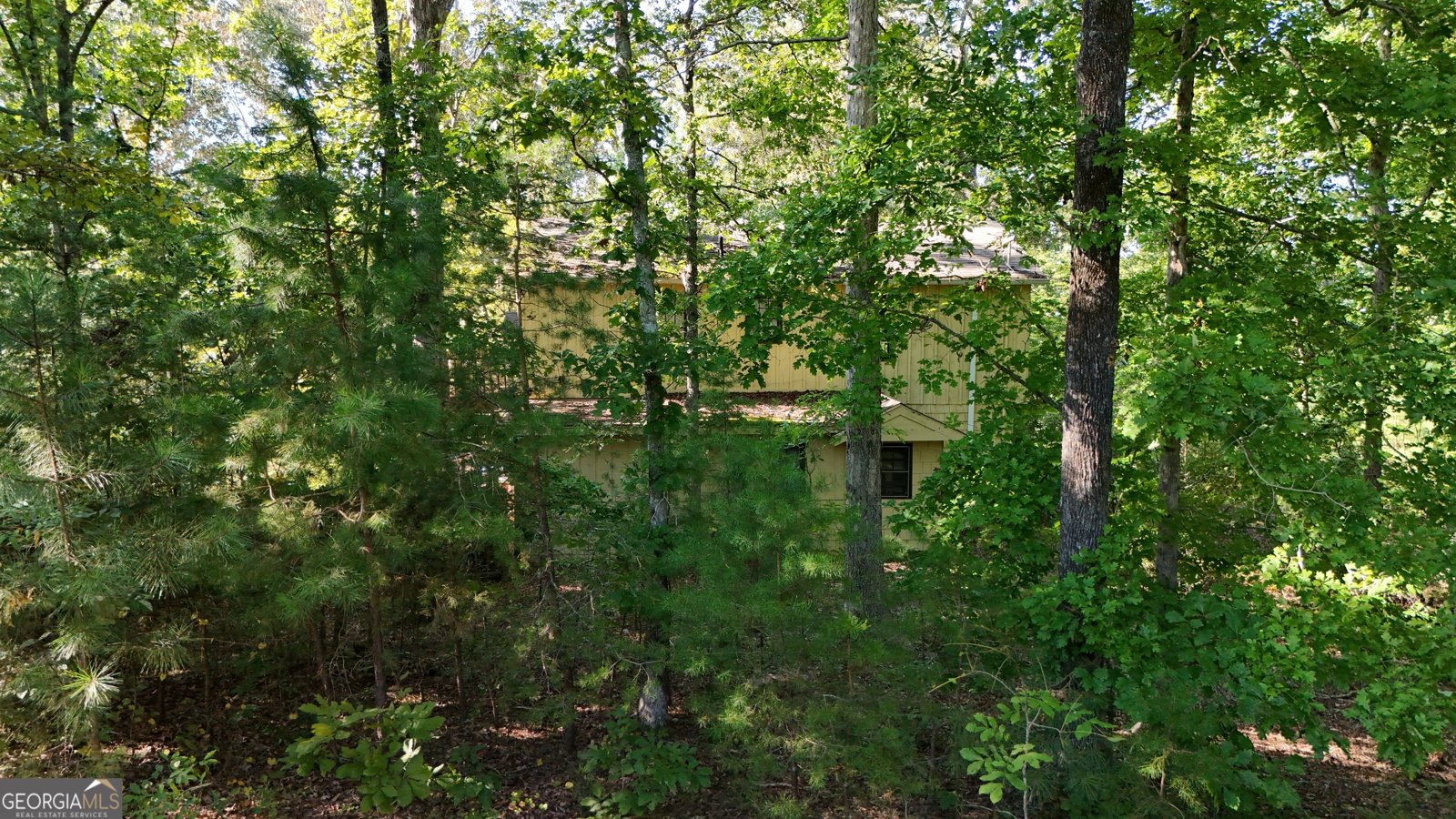 153 Dogwood Way Dawsonville - 11