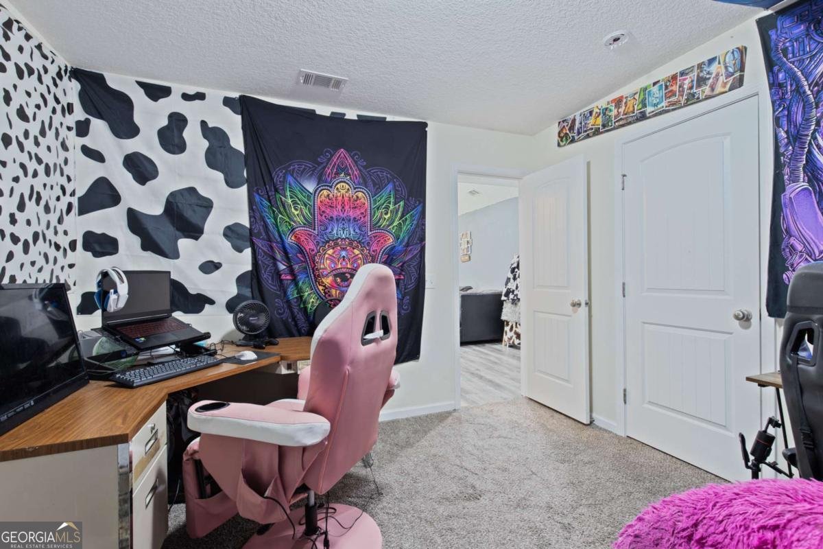 177 Bunion Road Jesup - 13