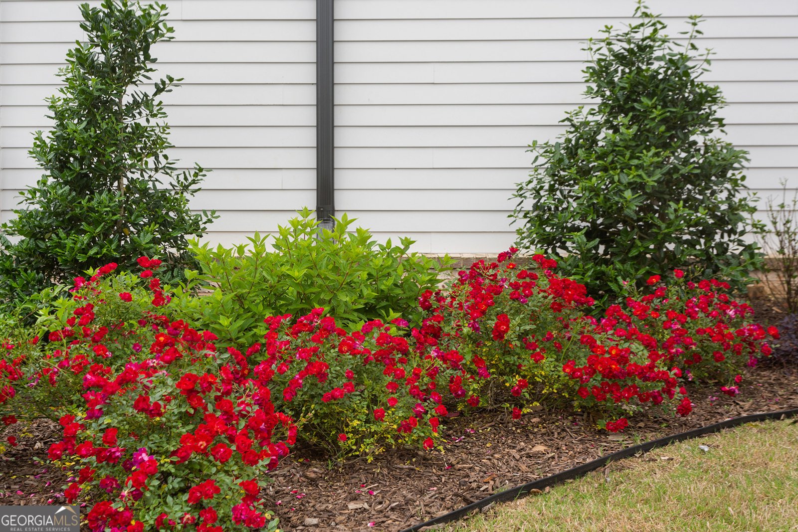 3854 Light Farms Way Suwanee - 36