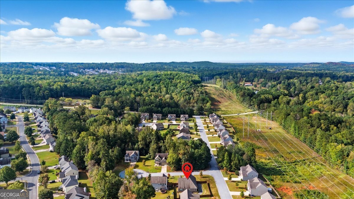 7463 Kaley Court Douglasville - 40