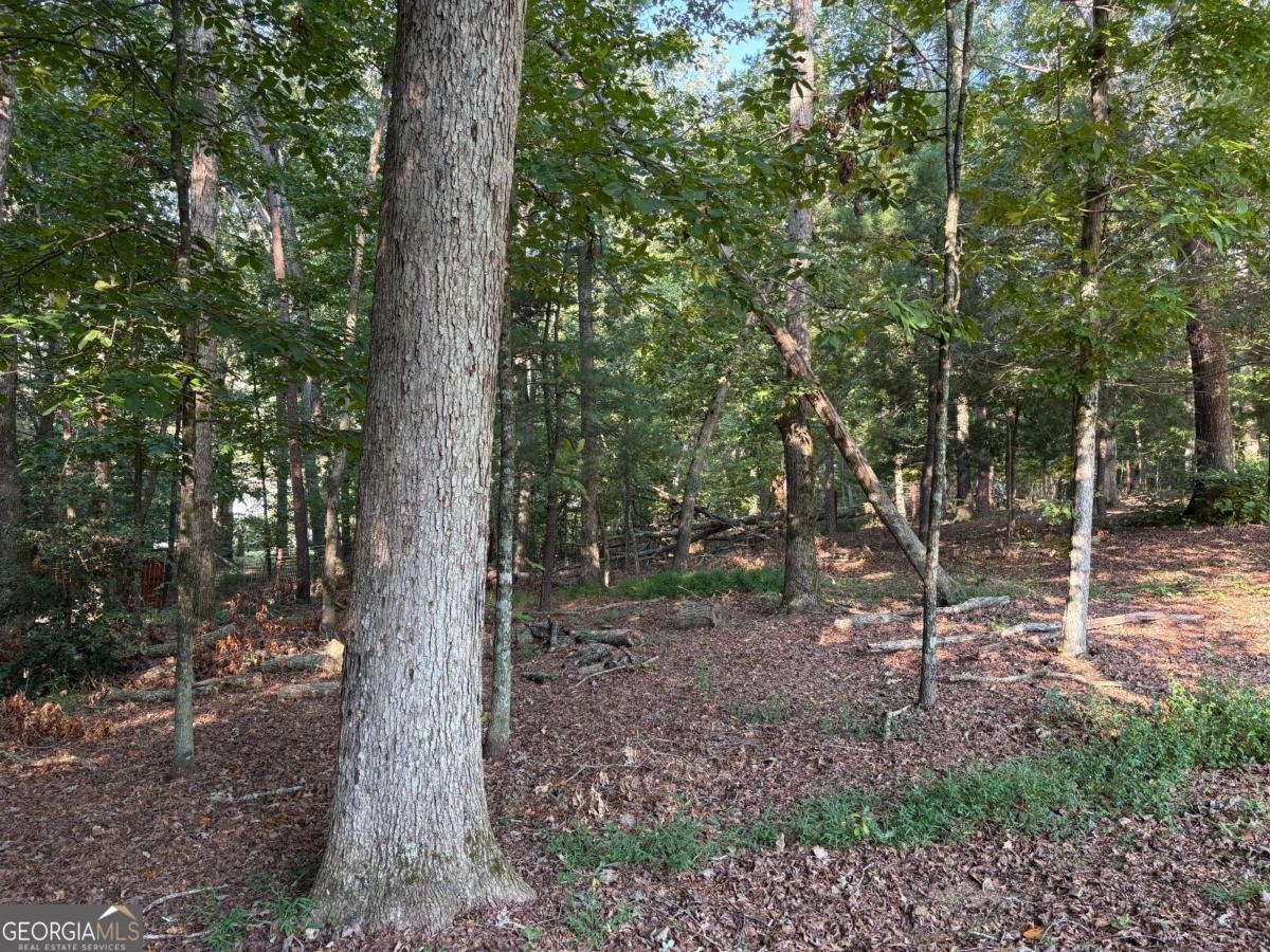 179 Garrison Drive Cleveland - 23