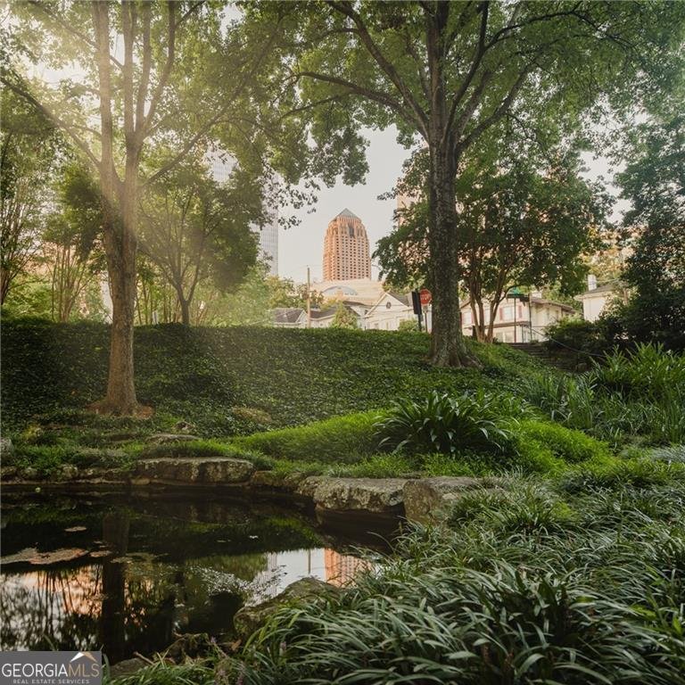 123 Peachtree Circle Atlanta - 78