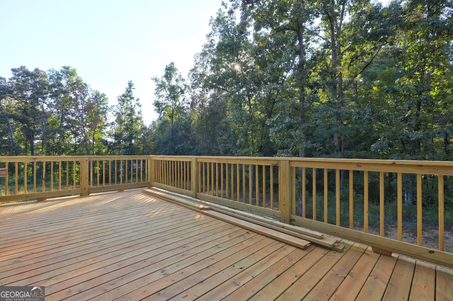 2754 Boxankle Road Forsyth - 34