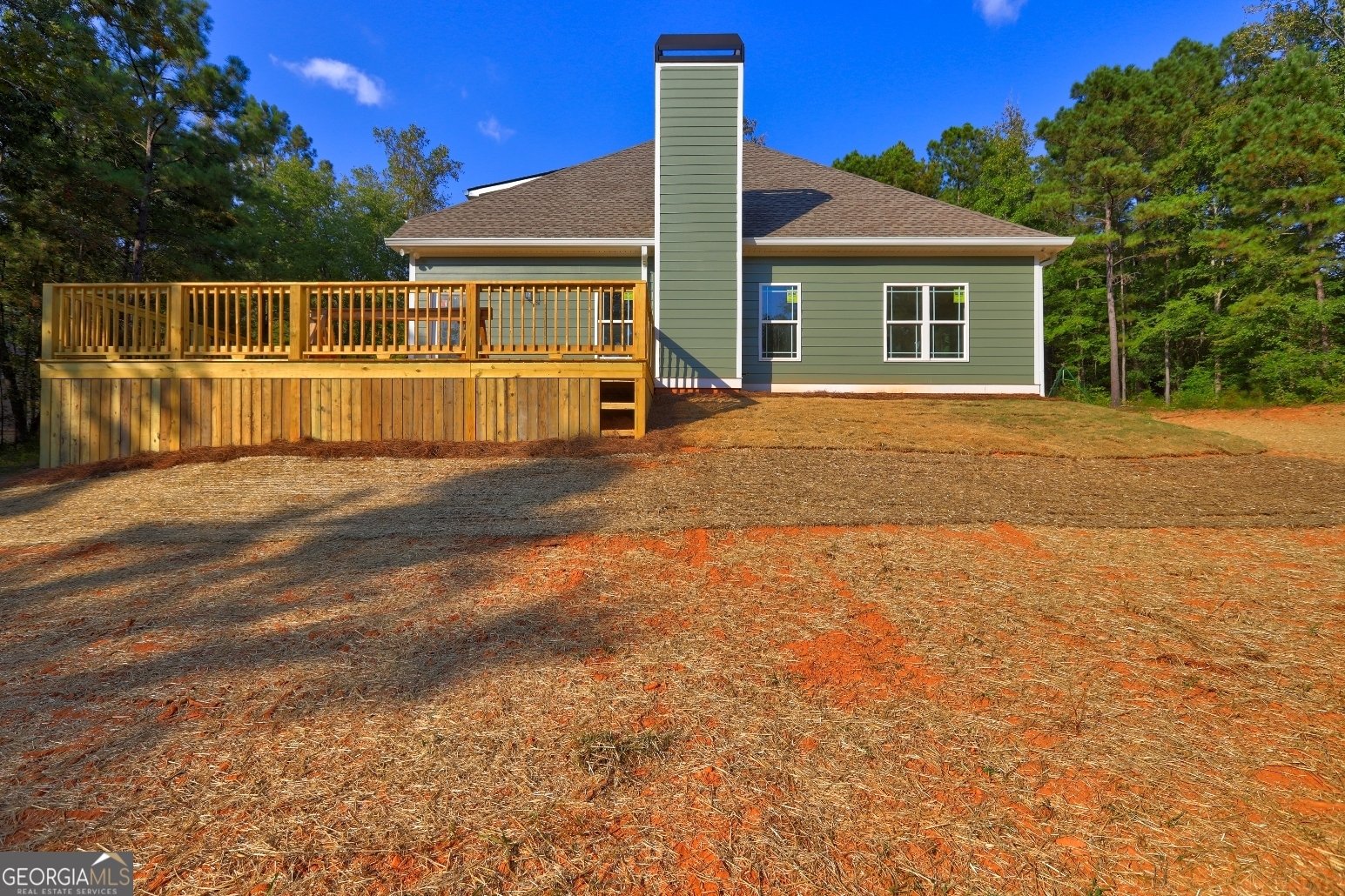 2754 Boxankle Road Forsyth - 36