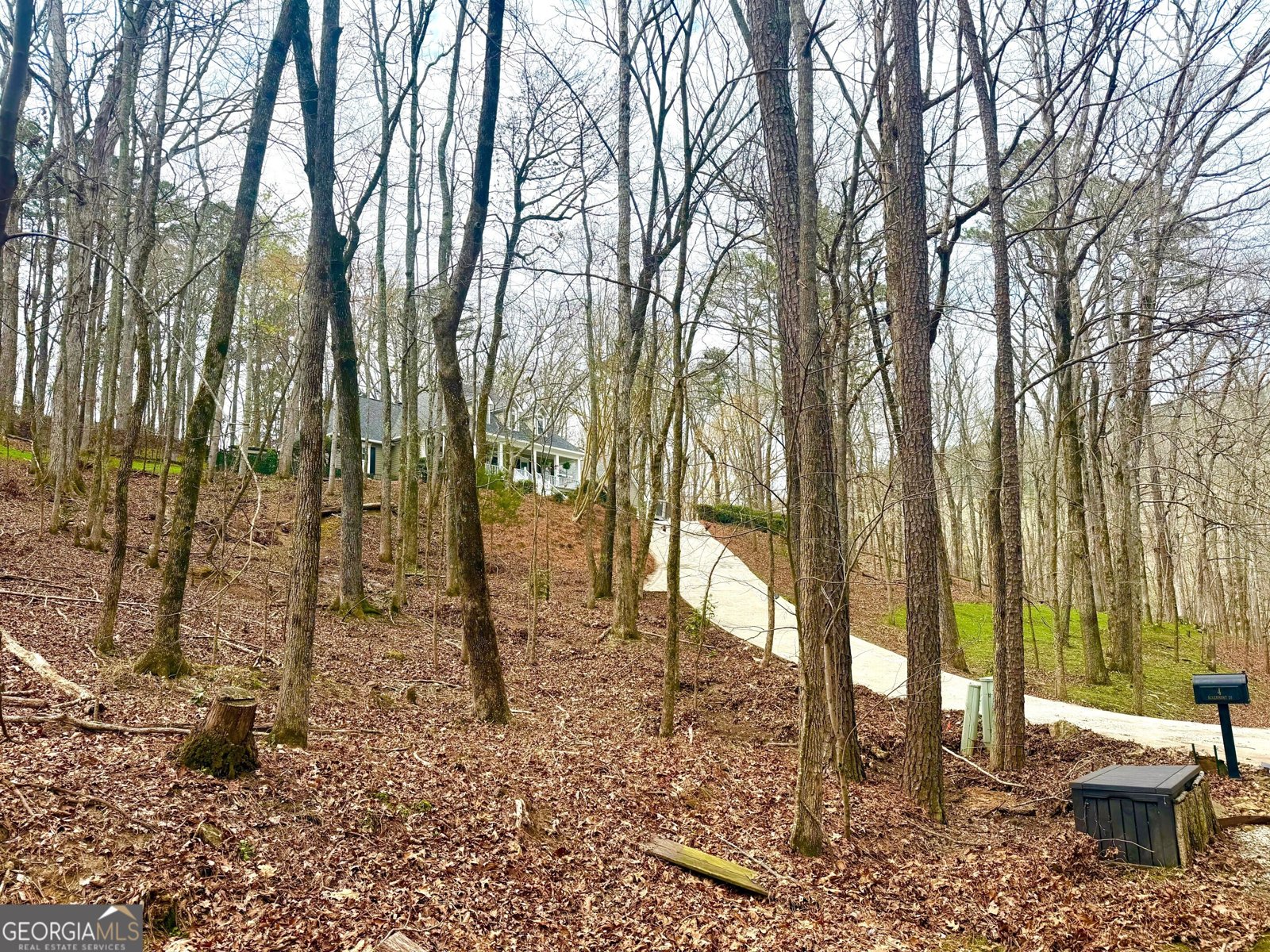 4 Rivermont Drive Rome - Photo 58