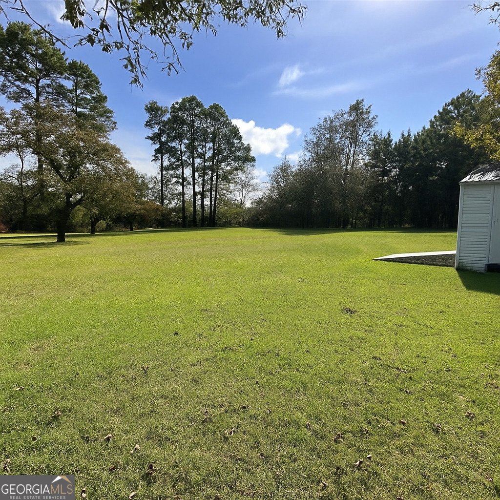 6555 Lanes Bridge Road Jesup - 36