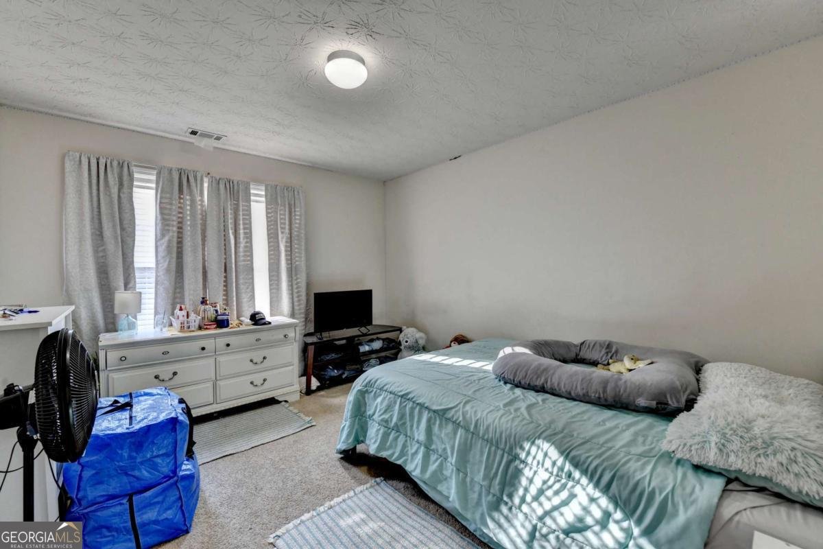 480 Pond Weed Drive Lawrenceville - 26