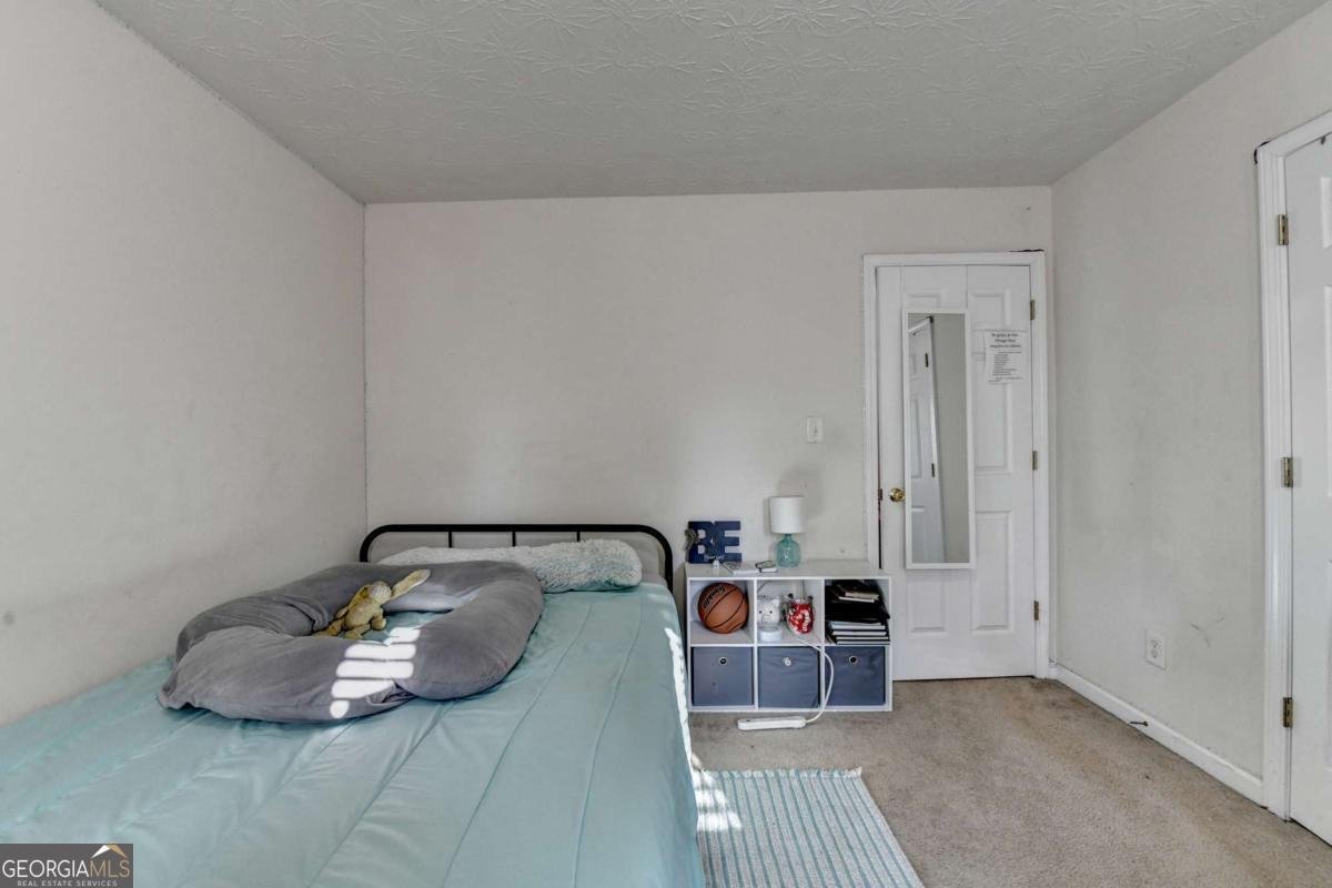480 Pond Weed Drive Lawrenceville - 28