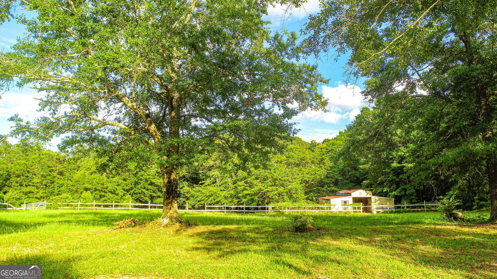 240 Harkness Road Jackson - 5