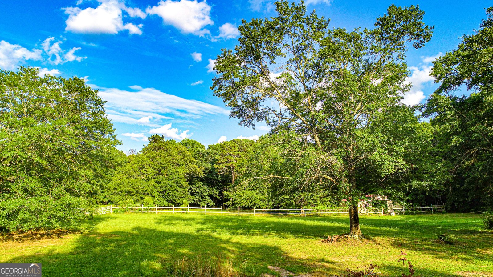 240 Harkness Road Jackson - 6