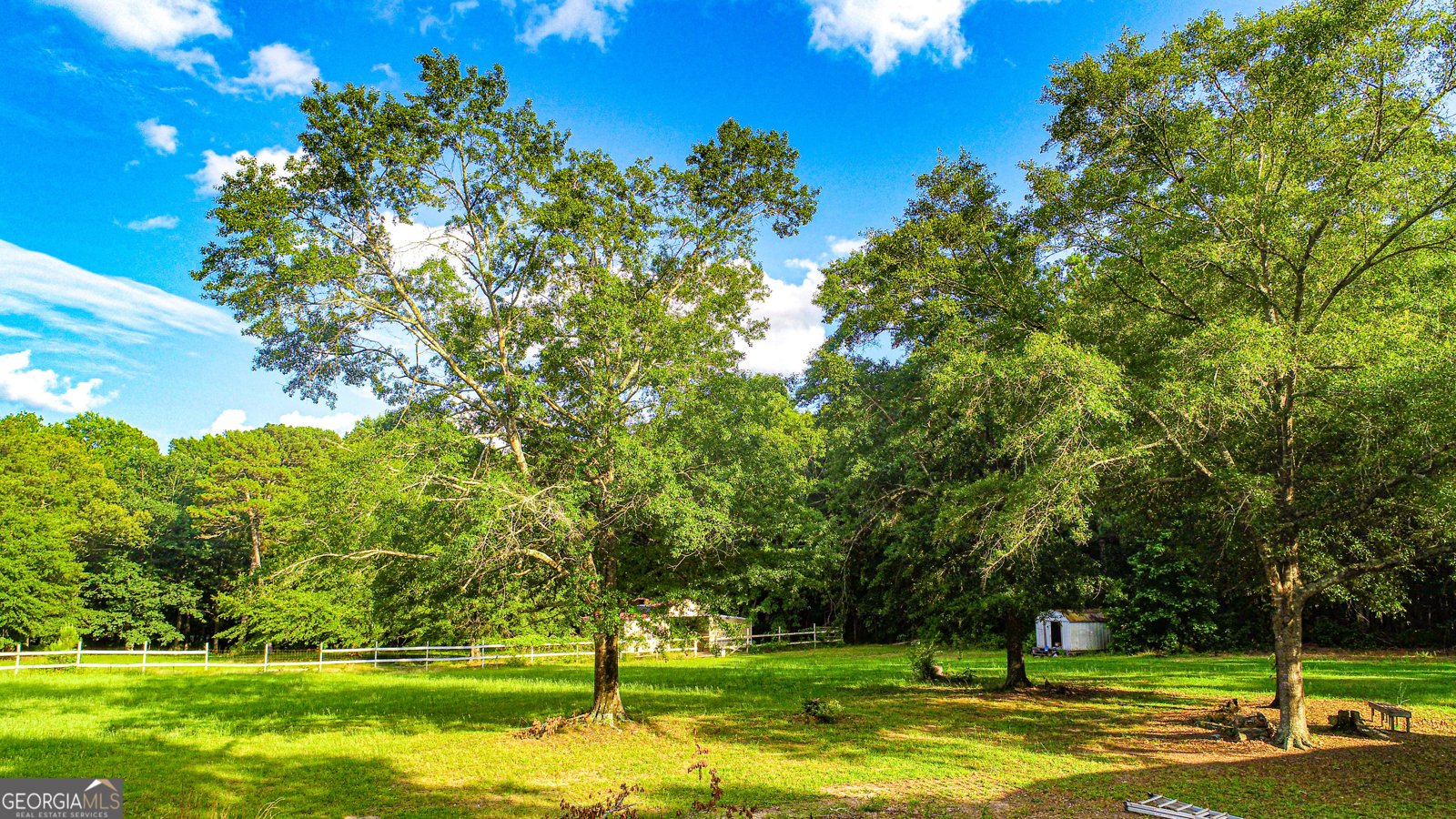 240 Harkness Road Jackson - 7