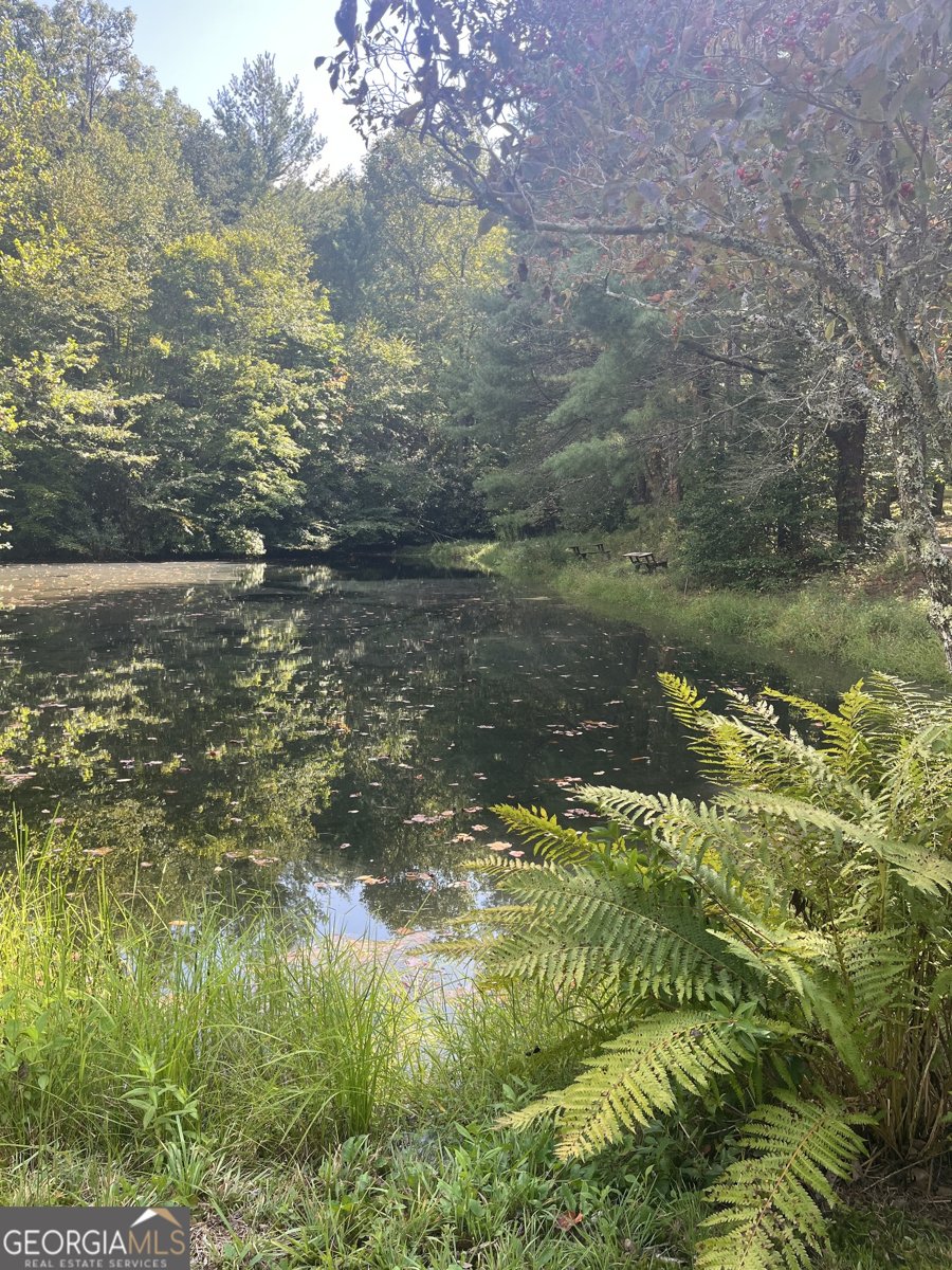 68 Nelson Lane Hiawassee - 16