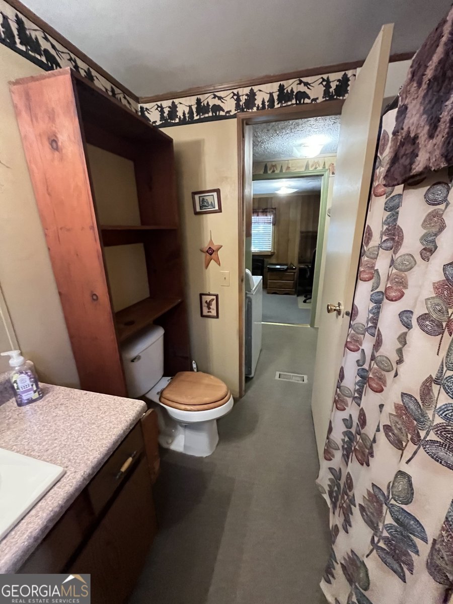 68 Nelson Lane Hiawassee - 34