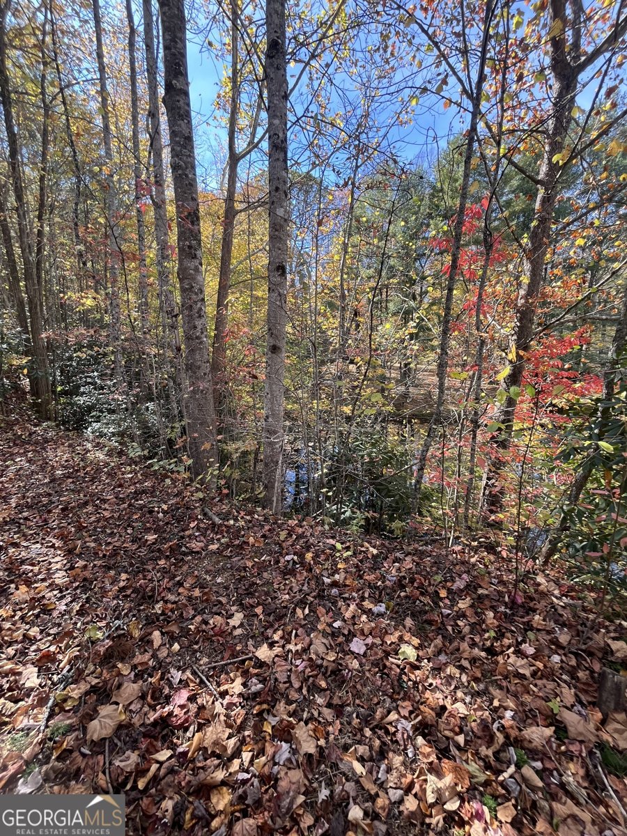 68 Nelson Lane Hiawassee - 50