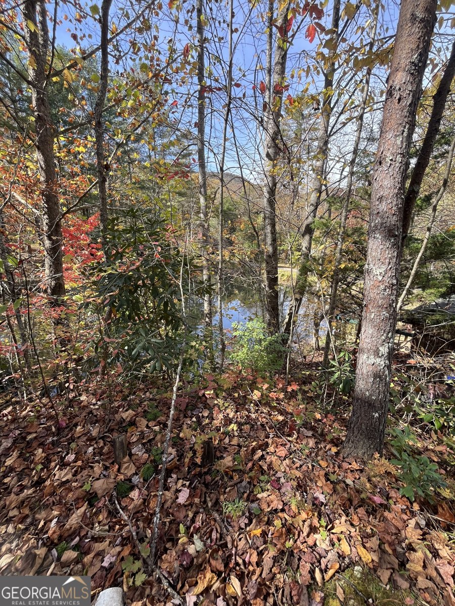 68 Nelson Lane Hiawassee - 51