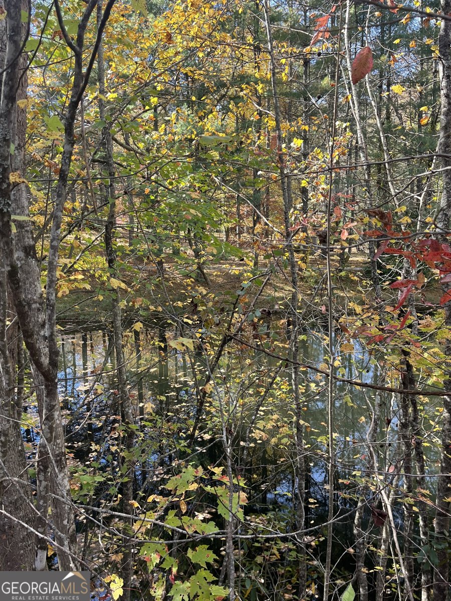 68 Nelson Lane Hiawassee - 52