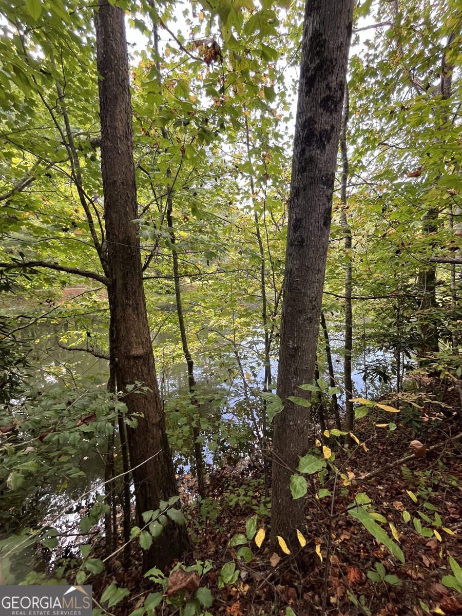 68 Nelson Lane Hiawassee - 8