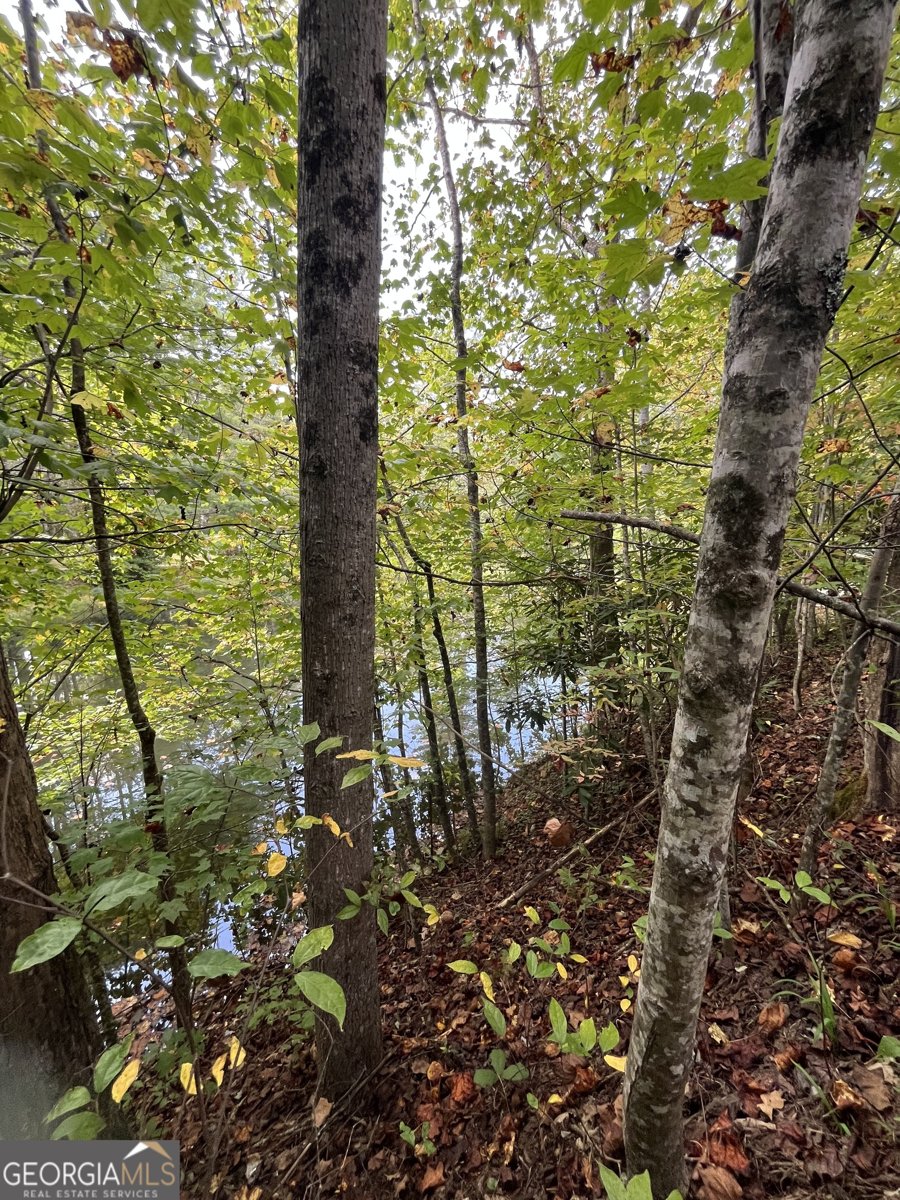 68 Nelson Lane Hiawassee - 9