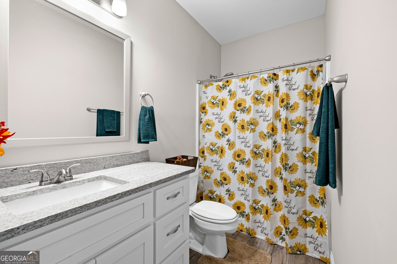 135 Graceton Farms Drive Senoia - 33