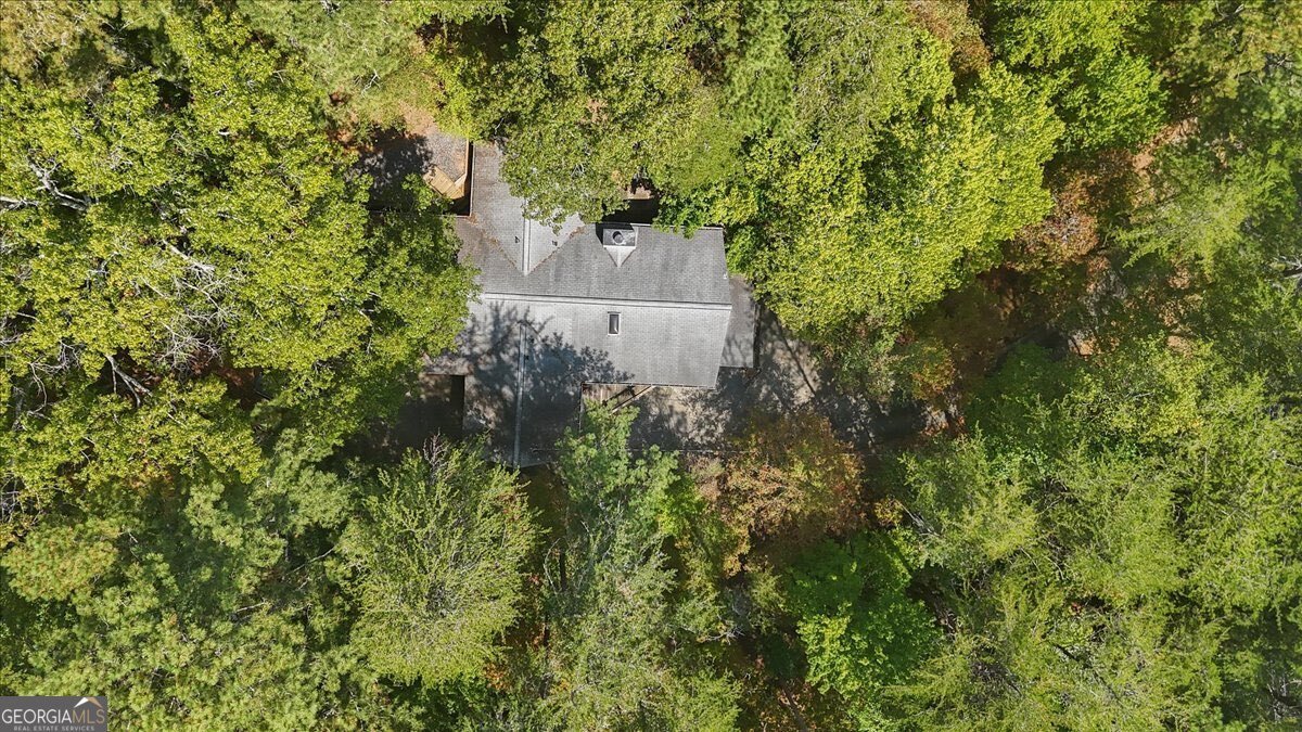 206 White Antelope Street Waleska - 45