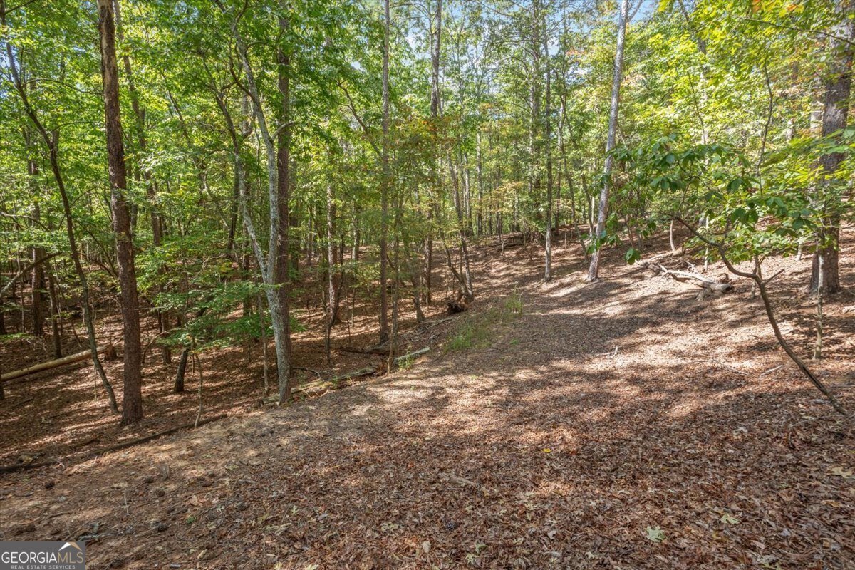 206 White Antelope Street Waleska - 46