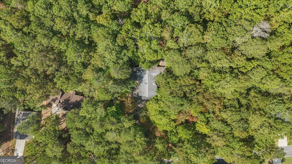 206 White Antelope Street Waleska - Photo 56