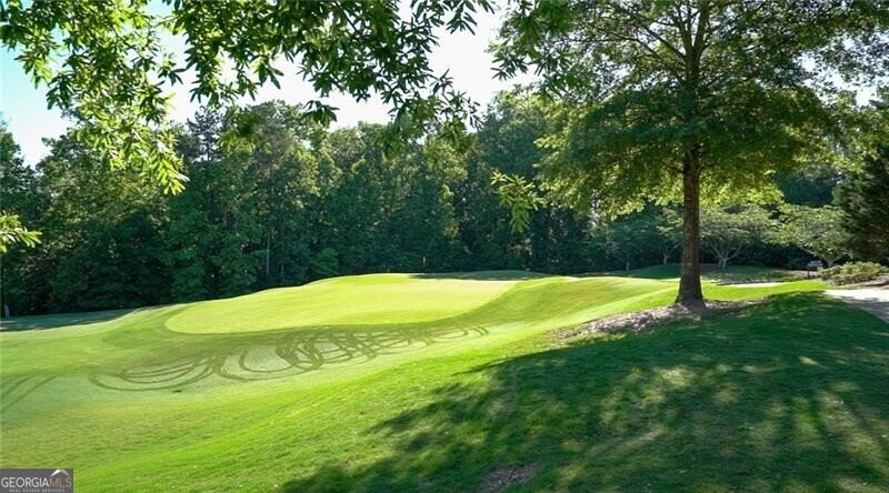 3565 Granton Street Alpharetta - 64