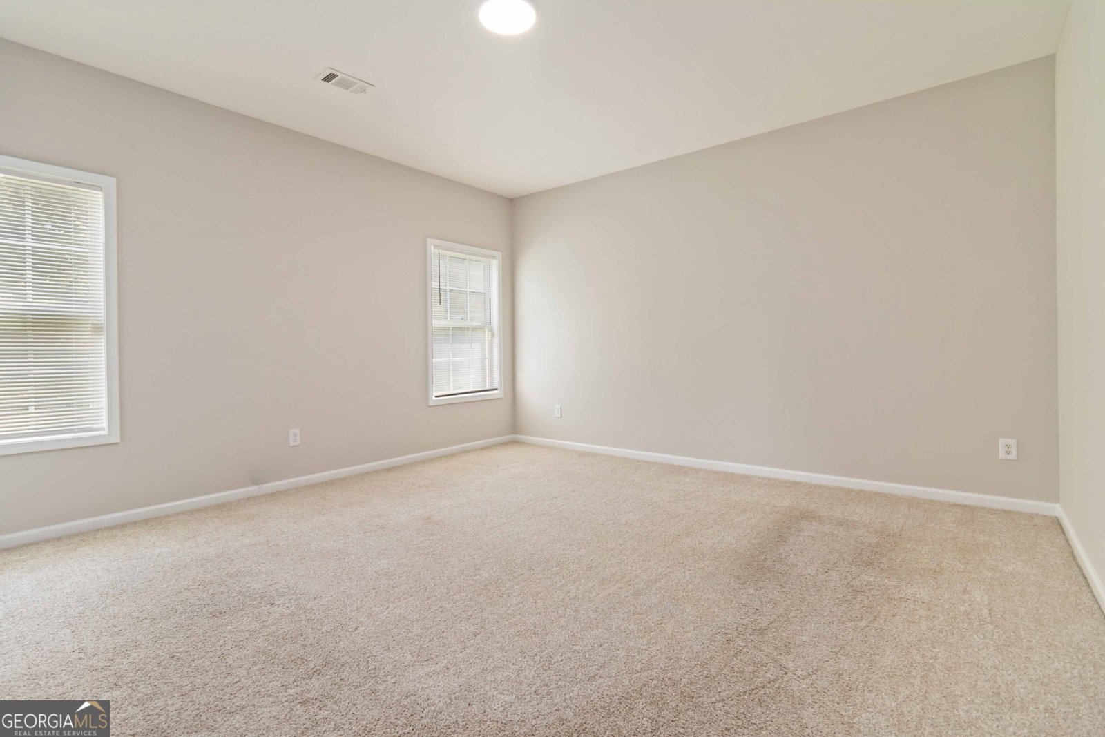 2523 Ginger Leaf Drive Conyers - 19