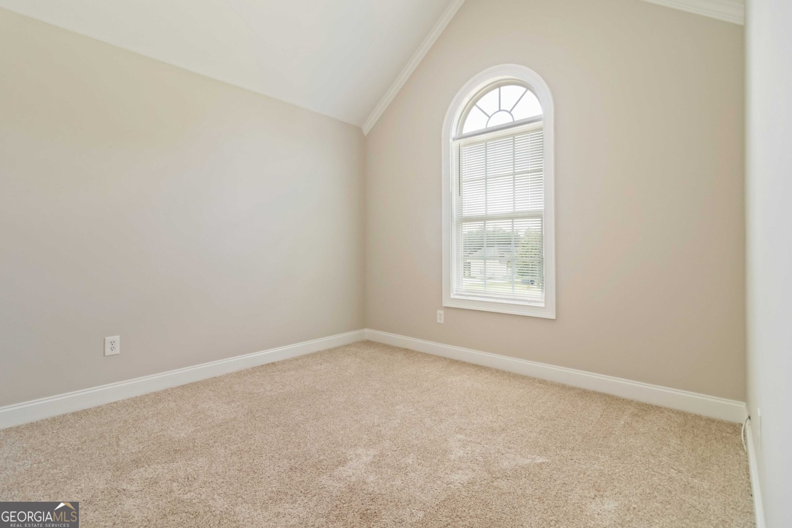 2523 Ginger Leaf Drive Conyers - 21