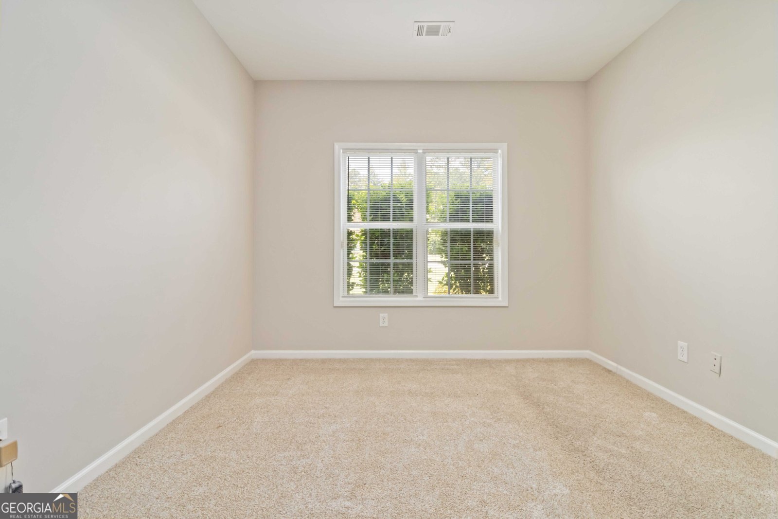 2523 Ginger Leaf Drive Conyers - 22