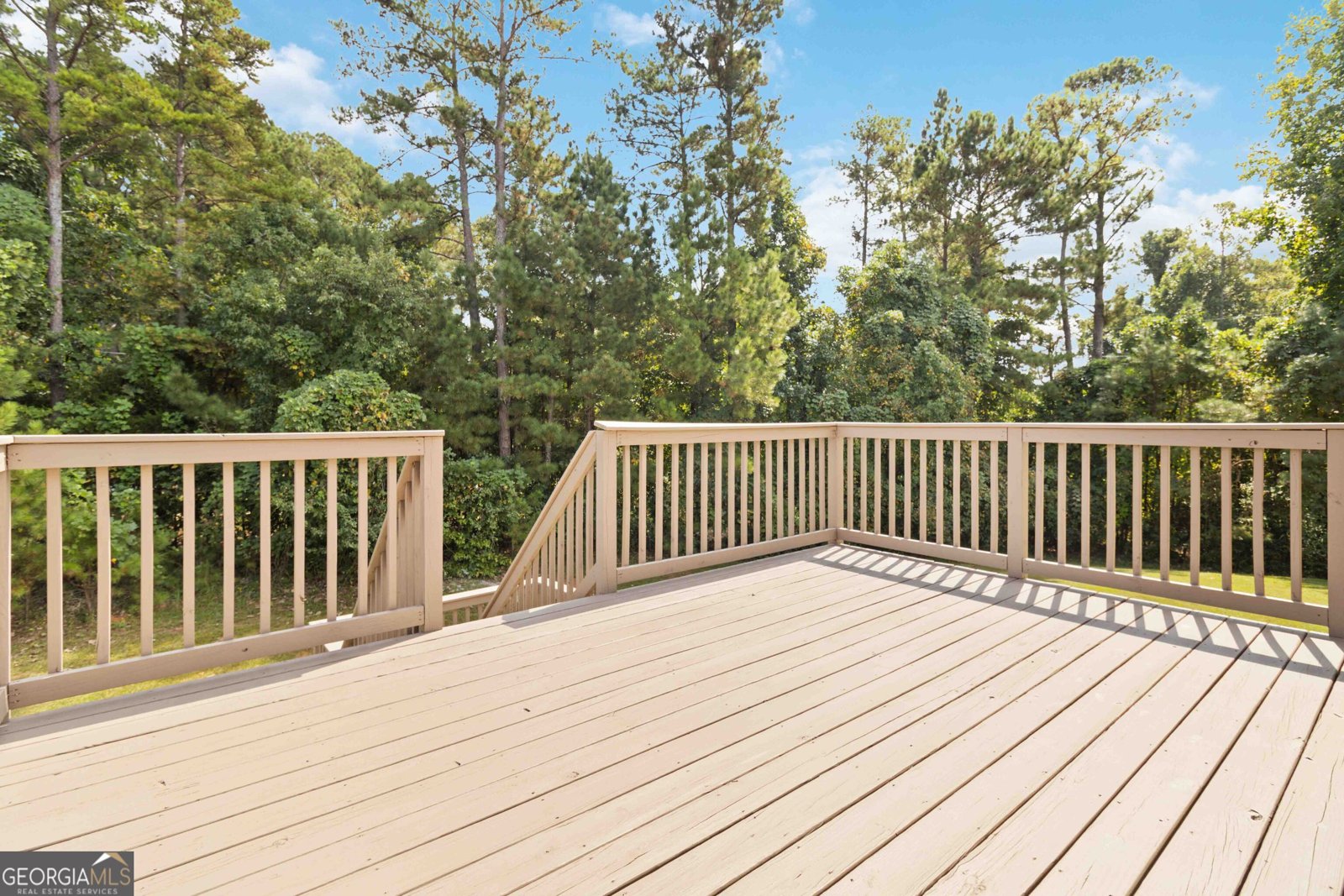 2523 Ginger Leaf Drive Conyers - 25