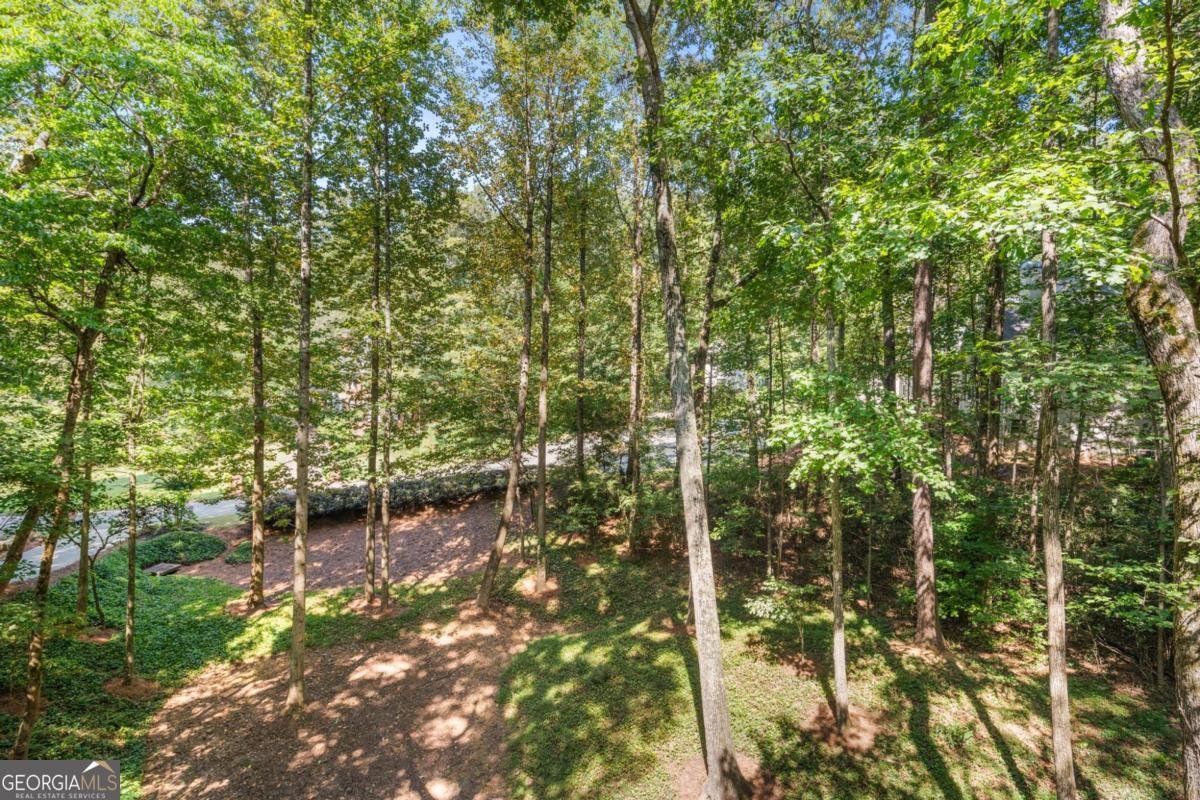205 Aerie Court Atlanta - 20