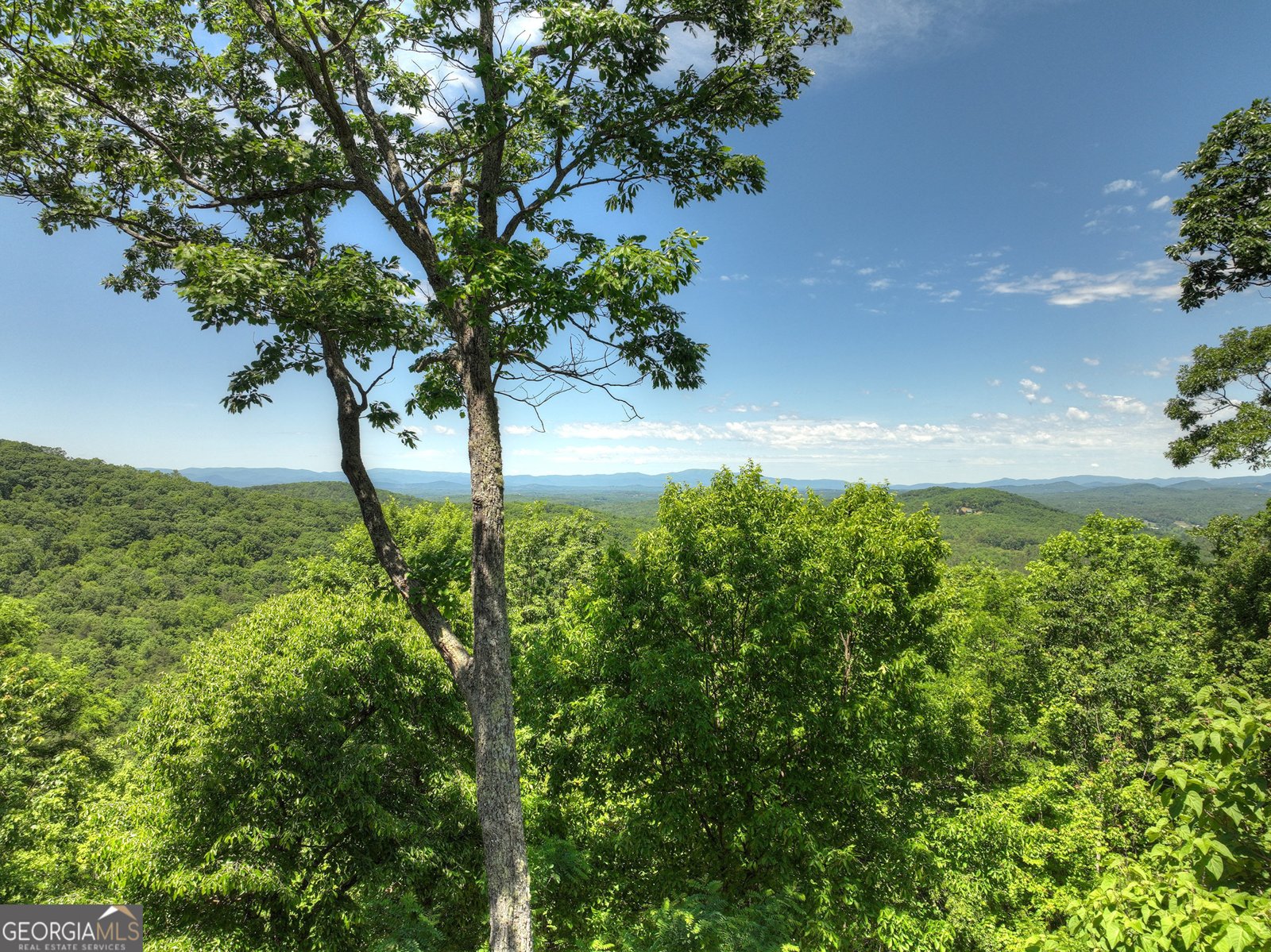 305 Enchanting Circle Morganton - 2